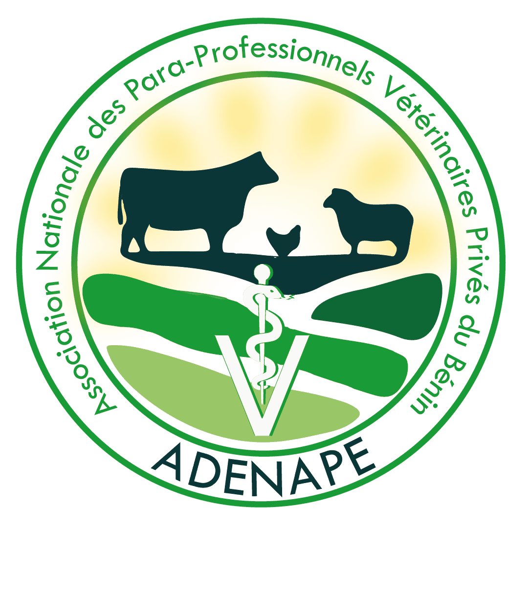 Logo ADENAPE sans fond-6.png