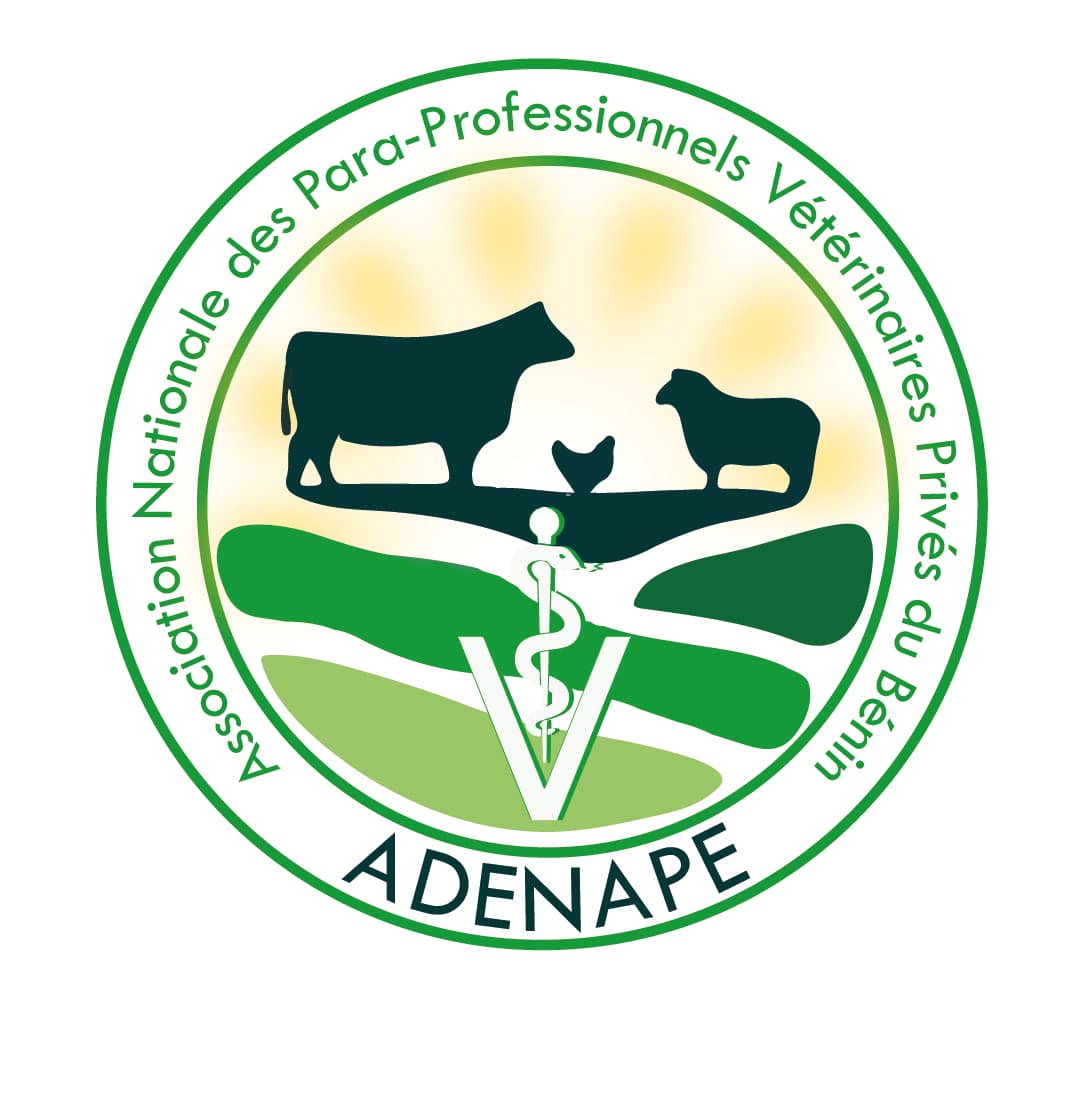 Logo ADENAPE sur fond blanc-1.jpg